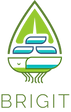 BRIGIT Logo no tagline.png